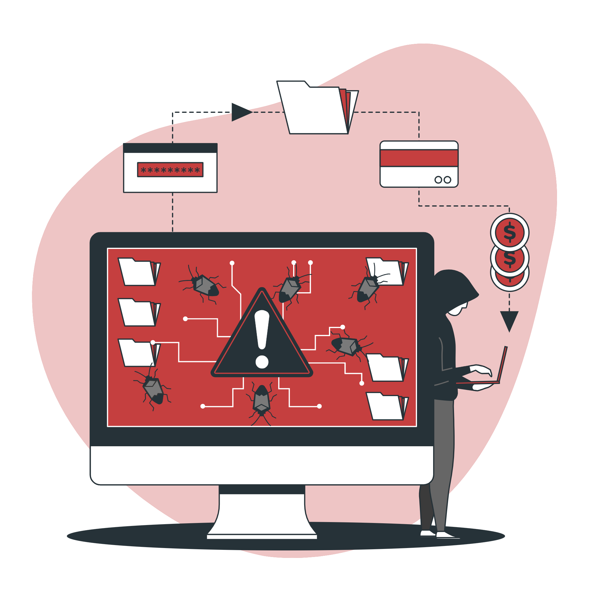 Vulnerability Management